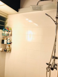 Blk 664B Punggol Drive (Punggol), HDB 4 Rooms #217749781